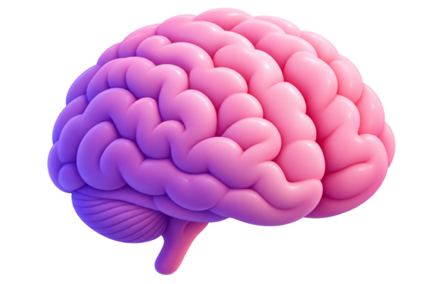 MASW-Brain
